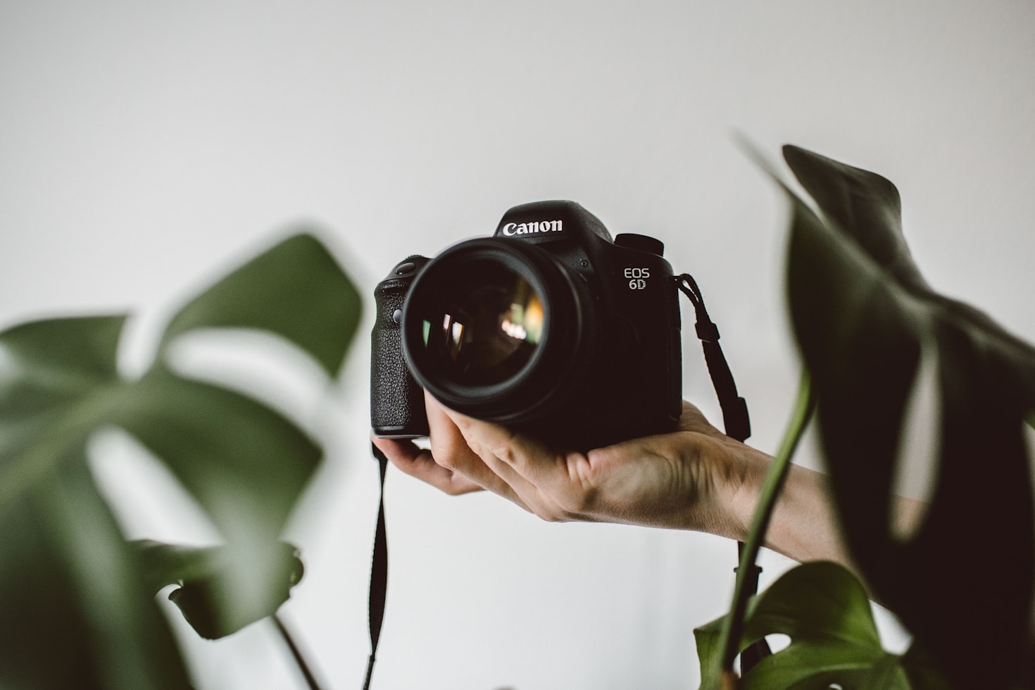 Choosing the Right Camera for Aspiring Photographers